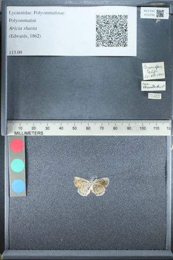 Media type: image;   Entomology 153765